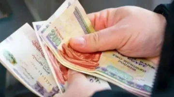 نمو اقتصاد مصر خلال 2025 يحقق تطورًا ملموسًا وفقًا لأمين صندوق غرفة الجيزة